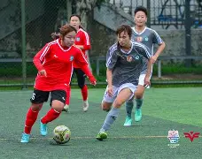 开元棋牌电脑版-新加坡打球